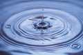 View of drops making circles on blue water surface isolated on background. Royalty Free Stock Photo