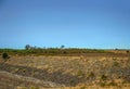 View of dry and cracked soil surrounded by grassland under a clear blue sky background Royalty Free Stock Photo