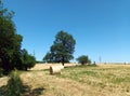 Field with trees and hay bales in the Ardennes of Luxembourg Royalty Free Stock Photo