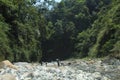 View of dry river and green trees Royalty Free Stock Photo