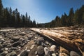 View of dry riverbed in spring near the Rainier mountain. Royalty Free Stock Photo