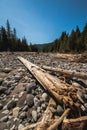 View of dry riverbed in spring near the Rainier mountain. Royalty Free Stock Photo