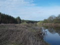 The view of the drygrass near the forest river. Royalty Free Stock Photo