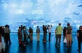 View of Dubai Aquarium inside Dubai Mall Royalty Free Stock Photo