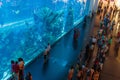 View of Dubai Aquarium inside Dubai Mall Royalty Free Stock Photo