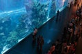 View of Dubai Aquarium inside Dubai Mall Royalty Free Stock Photo