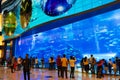 View of Dubai Aquarium Dubai Mall UAE Royalty Free Stock Photo