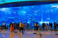 View of Dubai Aquarium Dubai Mall UAE Royalty Free Stock Photo