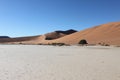 View of the Dune 45, Big Daddy, in the Namib-Naukluft National Park Royalty Free Stock Photo