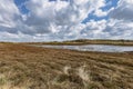 View on a dune landscape, national park The Slufter on the island of Texel, Netherlands Royalty Free Stock Photo