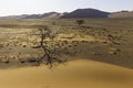 View from the dune 45 in the Namib Desert, Sossusvlei, Namibia Royalty Free Stock Photo