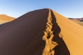 View from the dune 45 in the Namib Desert, Sossusvlei, Namibia Royalty Free Stock Photo