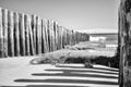 View of the dune of Pilat from Cap Ferret Royalty Free Stock Photo