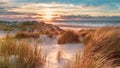 View from dune top over North Sea Royalty Free Stock Photo