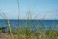 The view of the dunes and the beach of Zempin on the island of Usedom on a sunny day Royalty Free Stock Photo