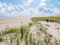 View of dunes with marram grass, salt marsh, beach and Waddensea from Frisian island Schiermonnikoog, Netherlands Royalty Free Stock Photo