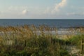 A view from the dunes at Myrtle Beach Royalty Free Stock Photo