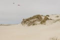 Dunes on Romo Island - Denmark.