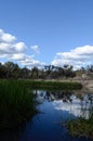 A view of Dunns Swamp in NSW