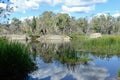 A view of Dunns Swamp in NSW