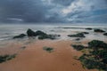 View of the Dutch coastline with the big boulders full of mussels  during low tide of the North sea under an dramatic sky. The ima Royalty Free Stock Photo