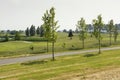 View on a Dutch scenic golf course, in the middle of the Netherlands, named Groene Hart