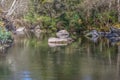 View of DÃÆo river, with trees, rocks and vegetation on the banks, reflections in the water and bright colors Royalty Free Stock Photo