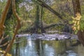 View of DÃÆo river, with trees, rocks and vegetation on the banks, reflections in the water and bright colors Royalty Free Stock Photo