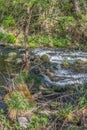 View of DÃÆo river, with trees, rocks and vegetation on the banks, reflections in the water and bright colors Royalty Free Stock Photo