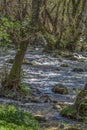 View of DÃÆo river, with trees, rocks and vegetation on the banks, reflections in the water and bright colors Royalty Free Stock Photo