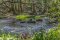 View of DÃÆo river, with trees, rocks and vegetation on the banks, reflections in the water and bright colors Royalty Free Stock Photo