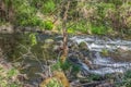 View of DÃÆo river, with trees, rocks and vegetation on the banks, reflections in the water and bright colors Royalty Free Stock Photo