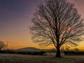 A view through the early morning mist towards the Wrekin hill, UK with a glowing sky