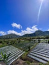 View early morning at sembalun hill. Lombok, Indonesia, March 22, 2022