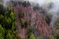 View of the Earth Pyramids Renon in the morning fog near the city of Bolzano in the Dolomite Alps, Italy