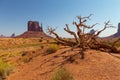 View on East Mitten Butte, Navajo Park. Royalty Free Stock Photo