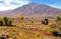 View of the Eastern Sierra Nevada US Hwy 395