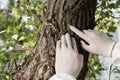 View of ecologist in latex gloves touching tree bark in forest