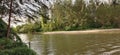 View of the edge of the estuary river where the water can be seen flowing into the sea and the surrounding trees