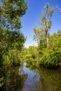 Edith Falls in Leliyn Area Royalty Free Stock Photo