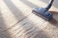 view Efficient cleaning Cordless vacuum leaves clean stripe on living room carpet