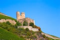 Ehrenfels Castle along the Rhine River in Germany Royalty Free Stock Photo
