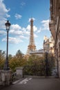 View of the Eiffel Tower Royalty Free Stock Photo