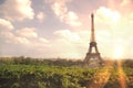 View on Eiffel tower through green summer trees with sunset rays. Beautiful Romantic background. Eiffel Tower from Champ Royalty Free Stock Photo