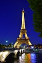 View of the Eiffel Tower at night in Paris