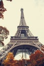 View of Eiffel Tower