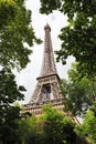 View of Eiffel Tower through summer green trees