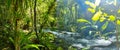 View at El Nicho waterfalls national park in Cuba Royalty Free Stock Photo