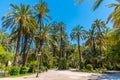 View of El Palmeral municipal park in Elche, Spain Royalty Free Stock Photo