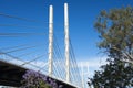 View of the Eleanor Schonell Bridge Royalty Free Stock Photo